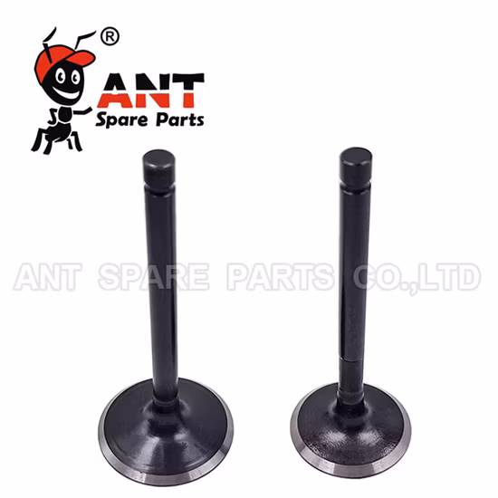 高品質ディーゼル エンジン部品 C9 Ex&in バルブ 241